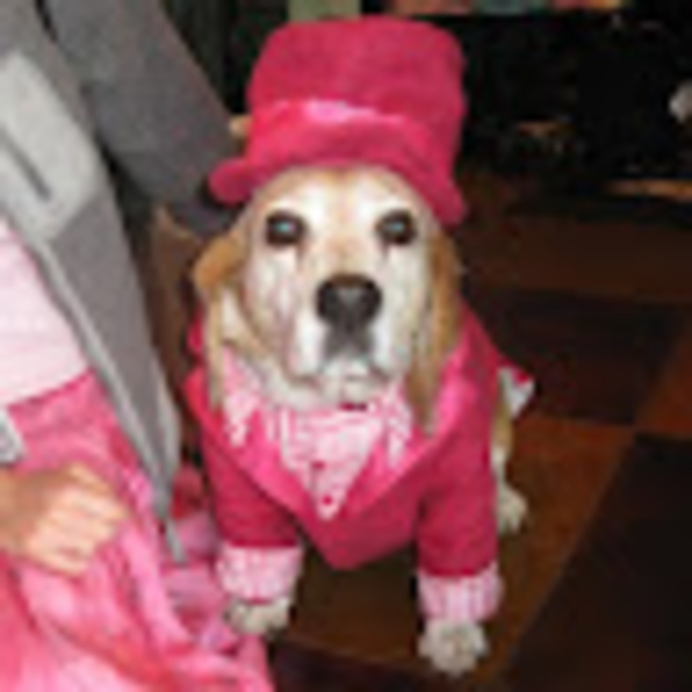 Meet your Posher, Kathleen